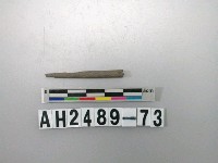 藏品(磨製石針)的圖片